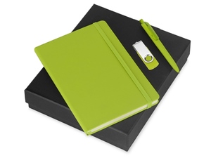 Подарочный набор Vision Pro Plus soft-touch с флешкой, ручкой и блокнотом А5 - 212700342.03