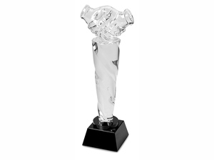 Награда «Рукопожатие» - 212507216
